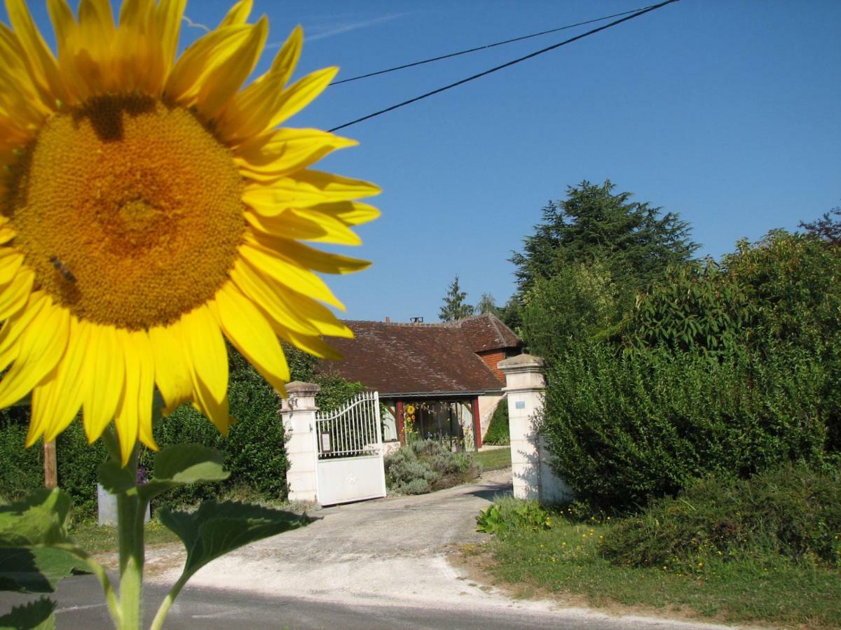 Le Clos Du Petit Marray Bed and Breakfast Chambourg-sur-Indre Exterior foto